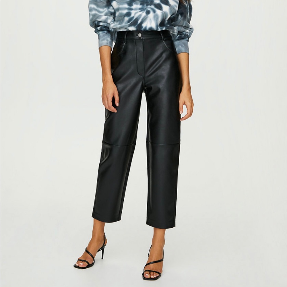 Aritzia Wilfred Free Oracle Pants
